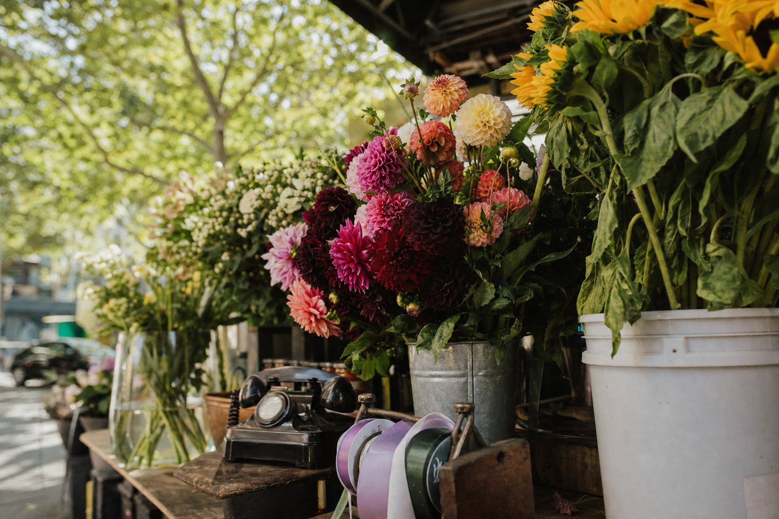 Bright flower shop counter with dahlias and sunflowers in buckets beside a telephone and ribbon
