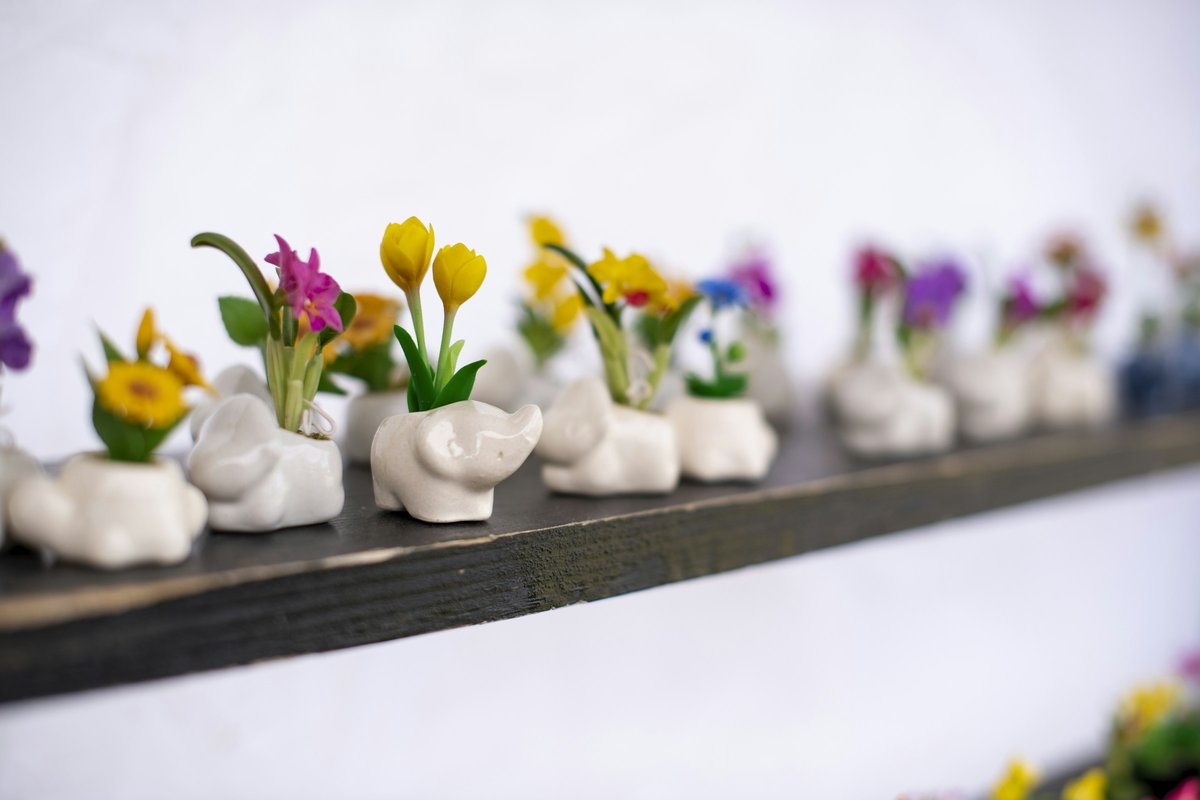 A row of small white vases, each holding a different seasonal flower, on a shelf
