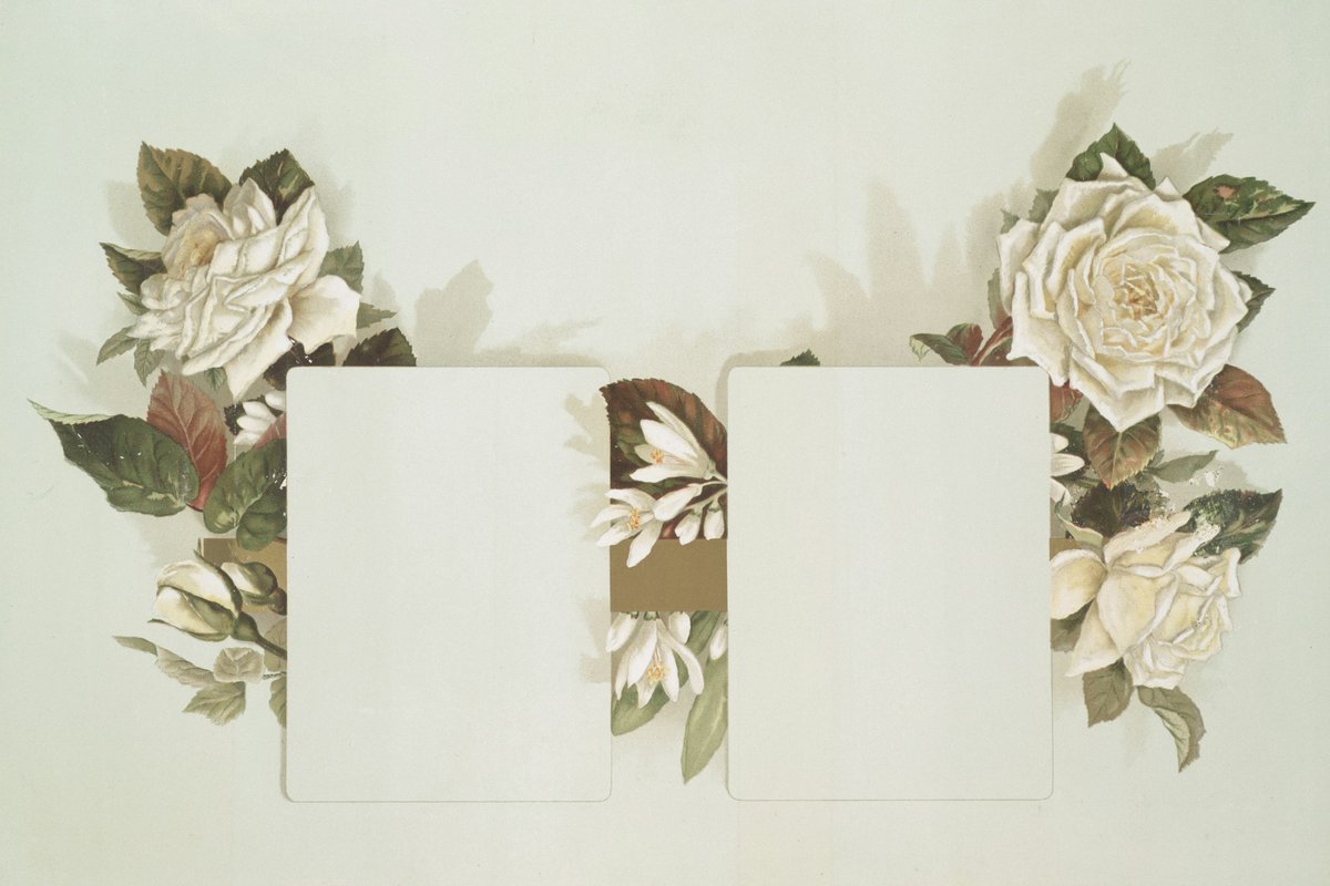 Two blank cards laid on a table surrounded by white and cream flowers