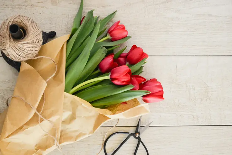 Tulips being wrapped in brown paper on a table with scissors and twine