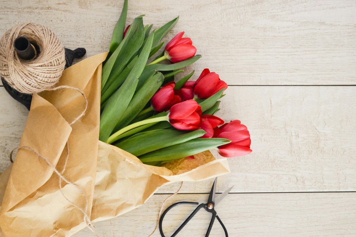 Tulips being wrapped in brown paper on a table with scissors and twine