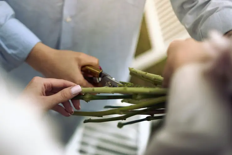 A florist trimming flower stems with snips